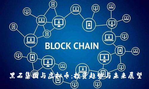黑石集团与虚拟币：投资趋势与未来展望