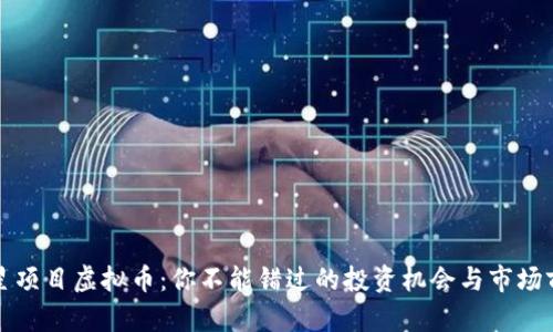 明星项目虚拟币：你不能错过的投资机会与市场前景