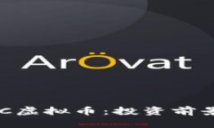 深入探索SGC虚拟币：投资