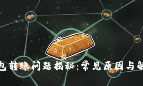 : TP钱包转账问题揭秘：常见原因与解决方案