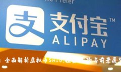 : 全面解析虚拟币SHIB：投