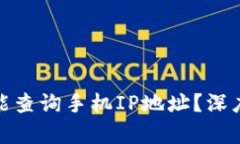 TP钱包登录是否能查询手机IP地址?深度解析与安