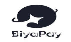 如何在TP钱包中获得充币地