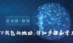 如何查看TP钱包的地址:详细步骤和常见问题解析