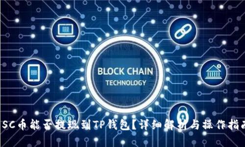 SC币能否提现到TP钱包?详细解析与操作指南