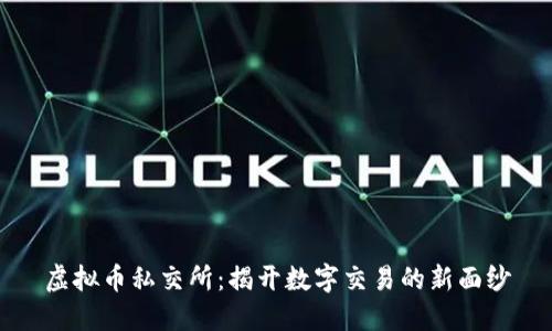 虚拟币私交所:揭开数字交易的新面纱