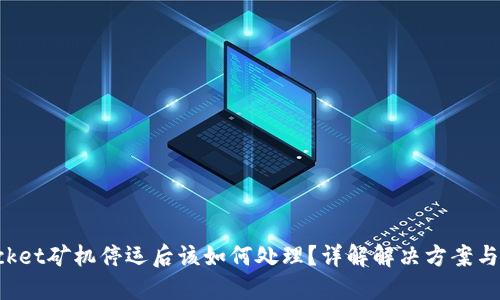 TokenPocket矿机停运后该如何处理？详解解决方案与预防措施