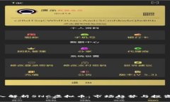 : 深入解析SNC虚拟币：市场趋势与投资