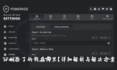 TP删除了的钱在哪里？详细解析与解决方案